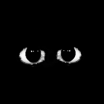The All Seeing...