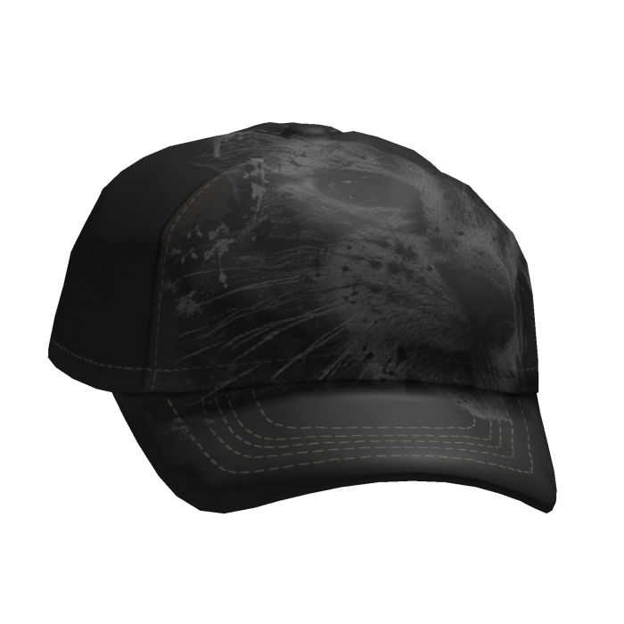 Baseball Cap W/ Grunge Cat Graphic