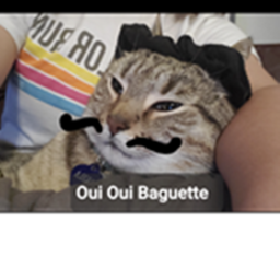 The offical Oui Oui Baguette Obby.