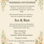 ice and rens wedding