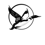 Loon ®