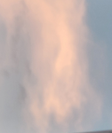 511糯米貓貓海賊團
