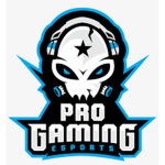 Pro2GamingYT