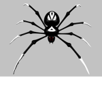 cool_spider