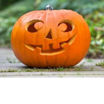 Pumpkin Defender's