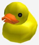 Quackz Development