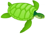 Turtle Apparel