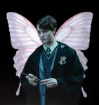 Slytherin Boys