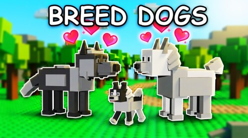 Dogs RNG