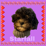 Animal fan group only for my friends