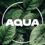 [ The Aqua Family ]