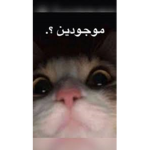 اصنع مابات