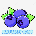 BLUE BERRY GANG INC