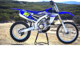 race dirtbikes