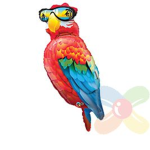 Parrot_imitate