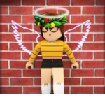 Robux for my sister and friend derp