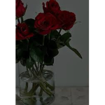 Hopes roses
