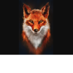 *-FireFox's Fanclub-*