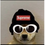 Arsenal doge!!!!!!