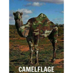 ~Camel army~
