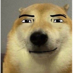 Doge is cool change my mind