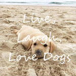 Live, Laugh, Love Dogs