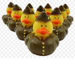 Duck Kingdom Allience