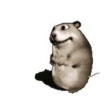 Myszoskoczek