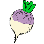 Onion Co.