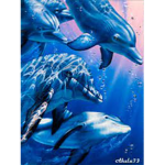 dolphin army!!??
