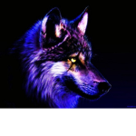 Wolf and Pirate Nation