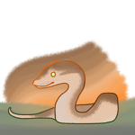 Ball Python Café