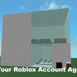 Your Roblox Account Age [BETA!]