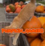 Pumpkin_Gamers