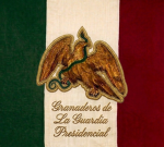 Granaderos de la Guardia Presidencial