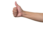 Thumb Kingdom