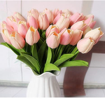 •flowers of Tulips!•