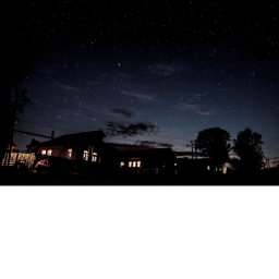 The Night