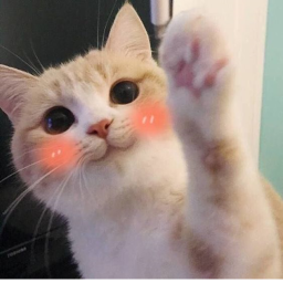 Save Robax ฅ^•ﻌ•^ฅ