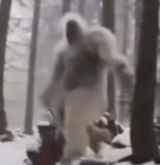 YETI FANCLUB