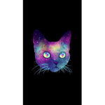 Cat kakakakaka