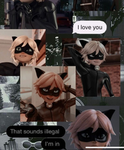 Cutie cats always forever