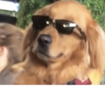 DoggoMen