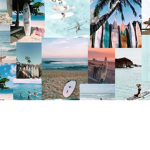 surfingsensati0ns