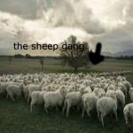 The Super Cool Amazing Heckin' Sheep Gang
