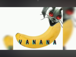 BANANAS SOLS RNG