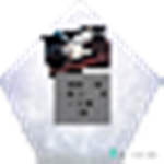 Heyytiktok's fans