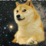 Doge nation Official group