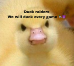 The Cow raiders