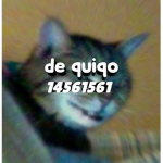 dequiqo